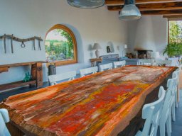 Designation Slab 3 – The Long Board: A River of Prehistoric Time A Monument of the Triassic World. A Survivor from the Dawn of Dinosaurs.